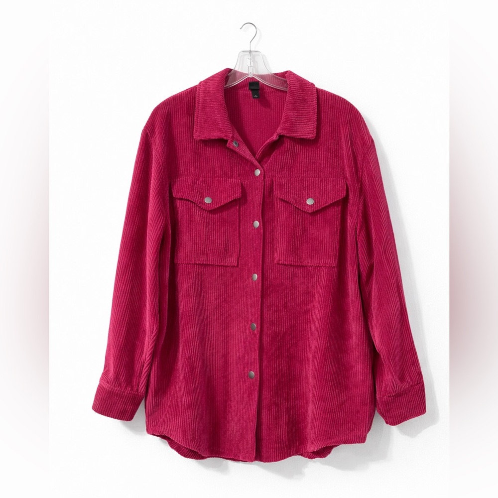 Wild Fable Pink Button Down Shirt